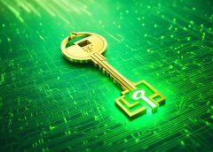Your Crypto Guide to Bitoxies